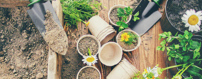 Guide jardin printemps