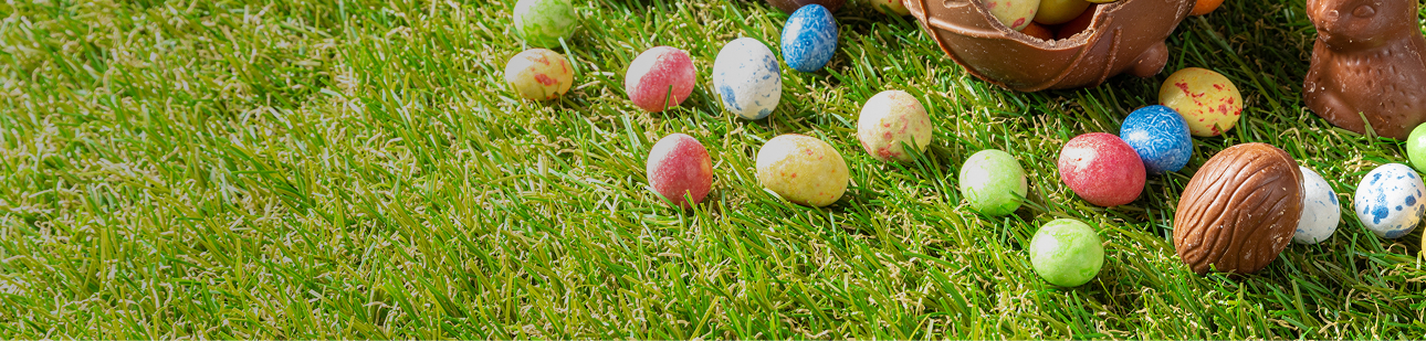 chasse aux oeufs de p&acirc;ques
