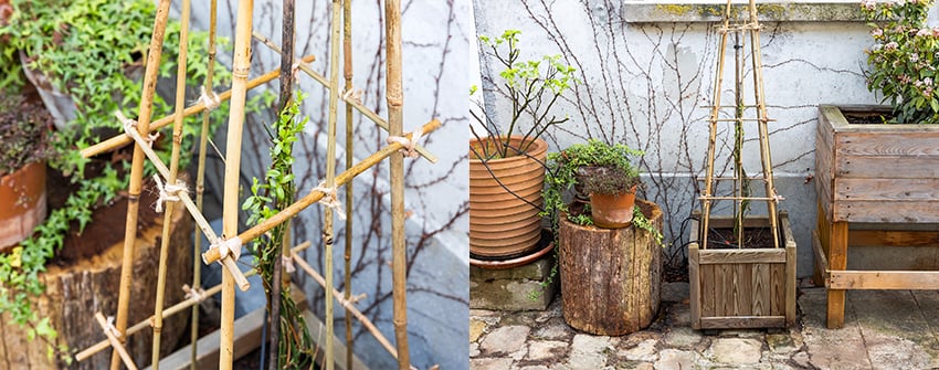 Fabriquez un treillis pour plante grimpante I Courses U