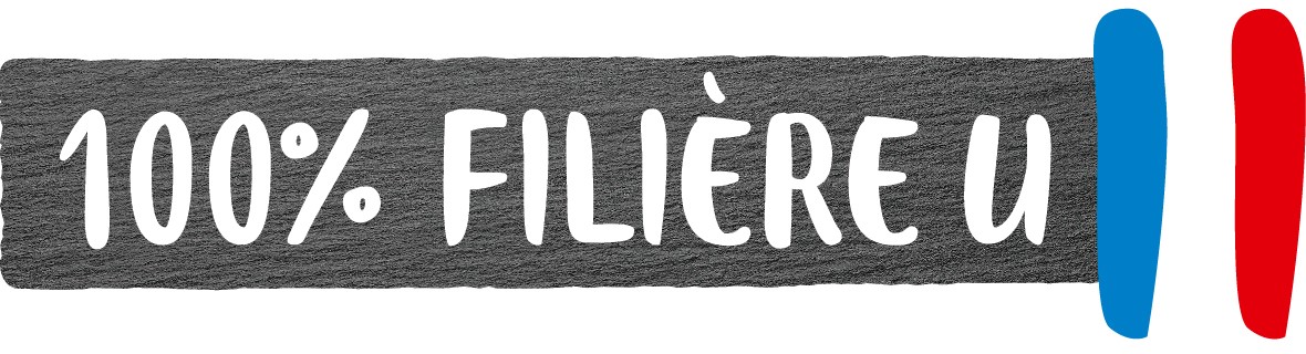 logo filieres U logo filieres U