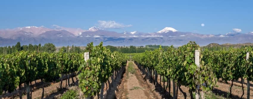 Vins du monde
