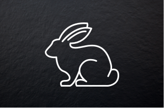 Lapin Lapin