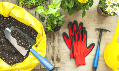 tous les indispensables pour son jardin