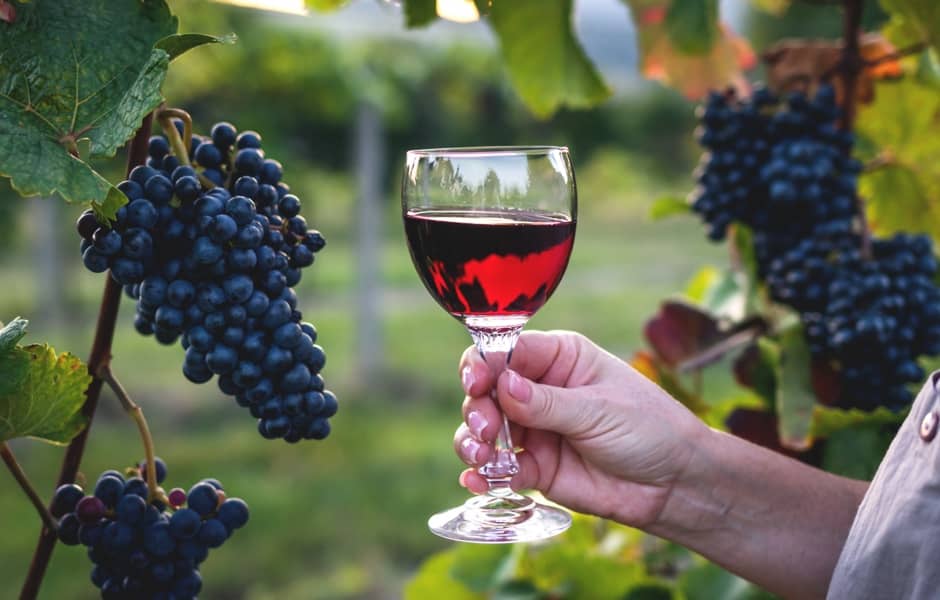 Vin rouge