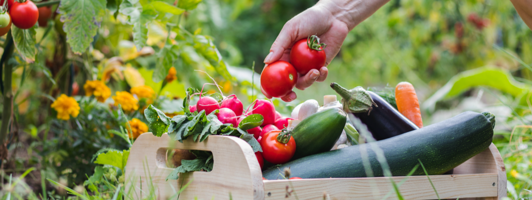 calendrier des fruits et l&eacute;gumes &agrave; planter