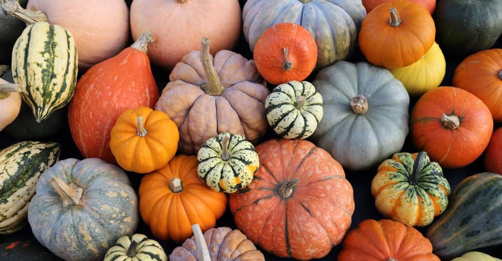 Courges