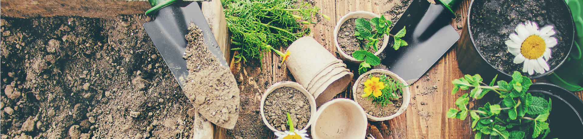 Guide jardin printemps