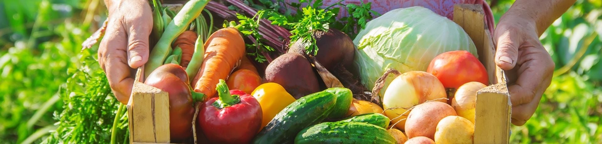  Bio, Agriculture Biologique : tout savoir