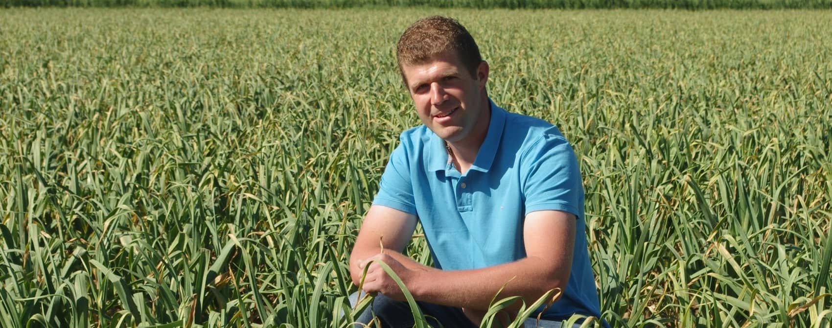 Producteur d'ail Fili&egrave;re U.