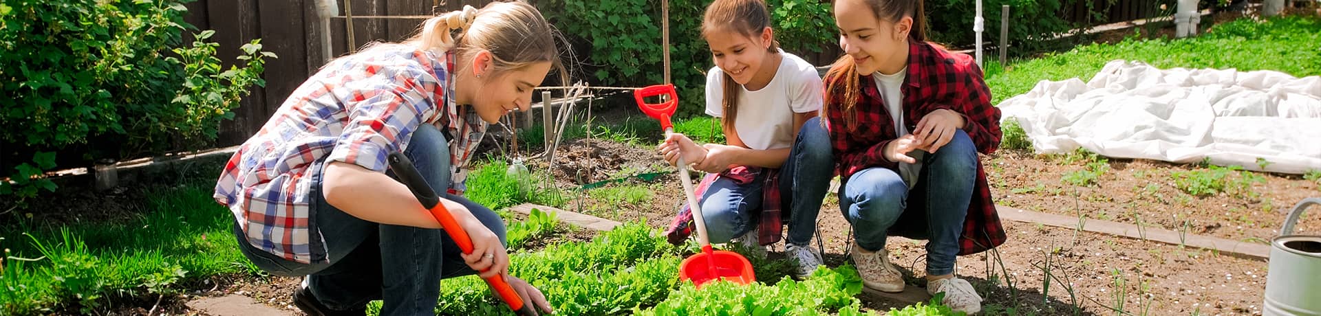5 id&eacute;es pour jardiner en famille