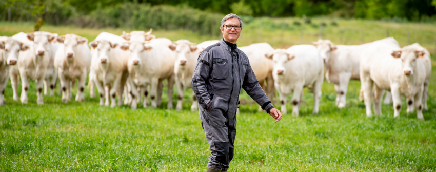 B&oelig;uf Charolais 100% Fili&egrave;re U