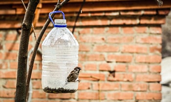 Fabriquer une mangeoire &agrave; oiseaux