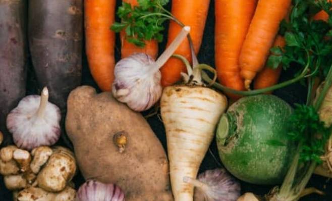 L&eacute;gumes anciens et oubli&eacute;s