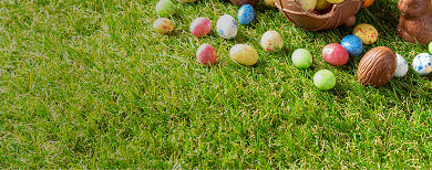 chasse aux oeufs de p&acirc;ques
