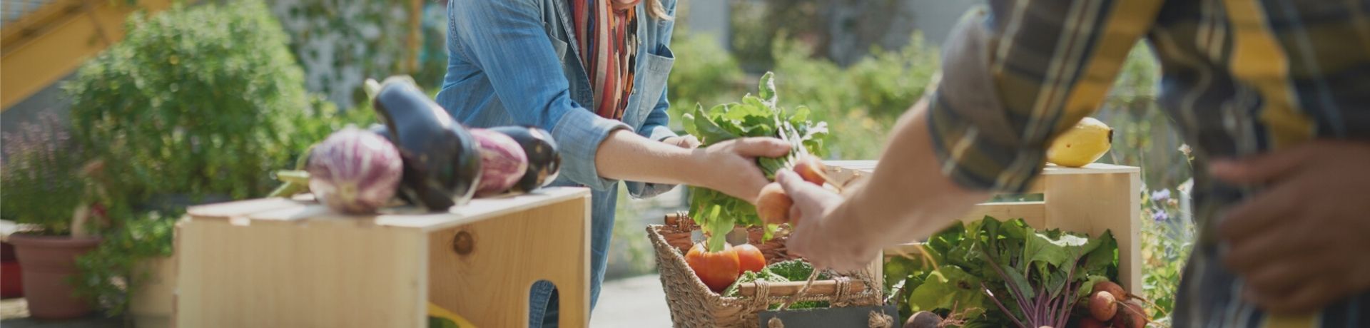 Manger local et de saison