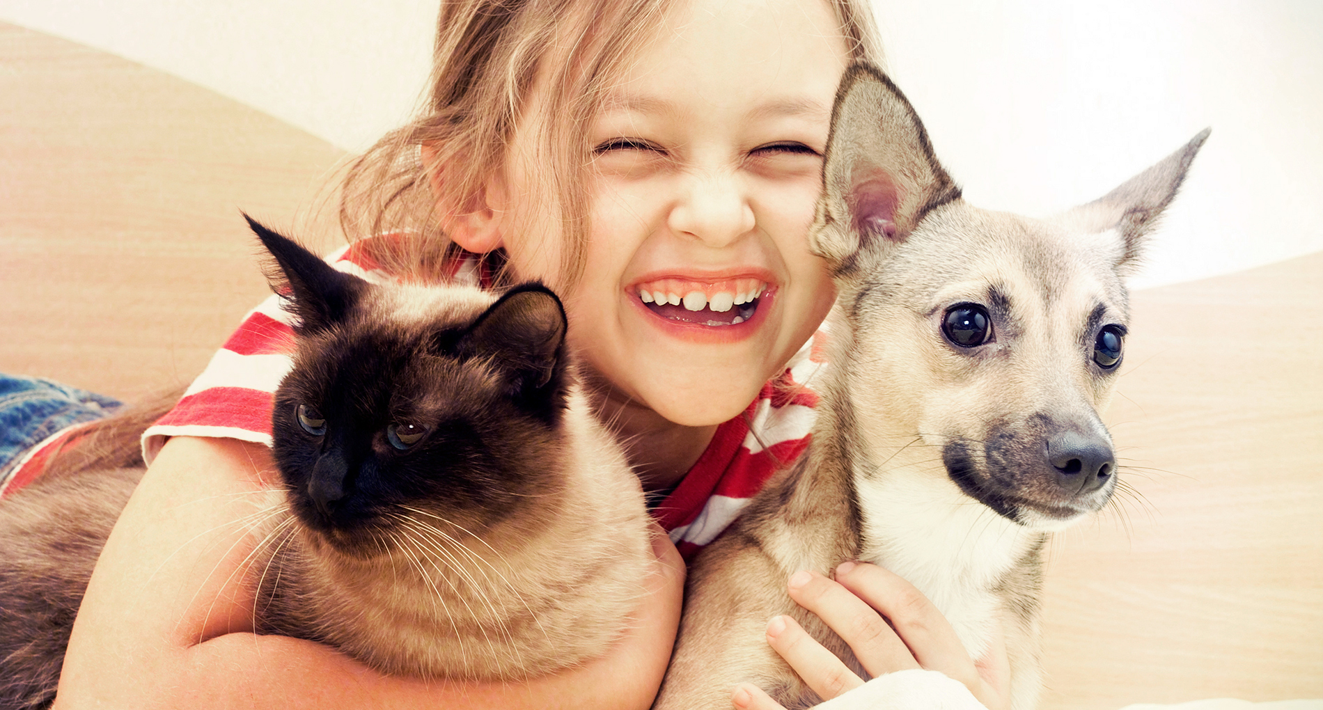 Avoir un chien et un chat
