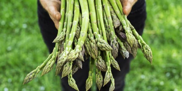 Asperges
