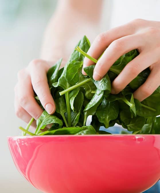 Légumes verts hiver