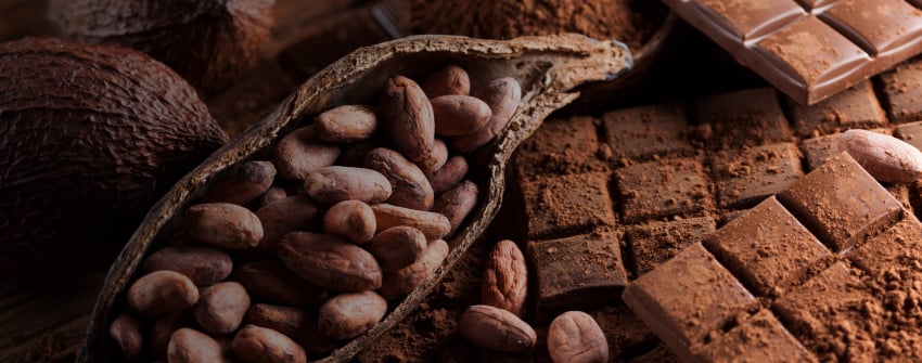 Le cacao