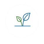 Biodiversité 