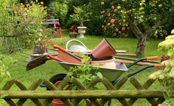 Brouette dans un jardin